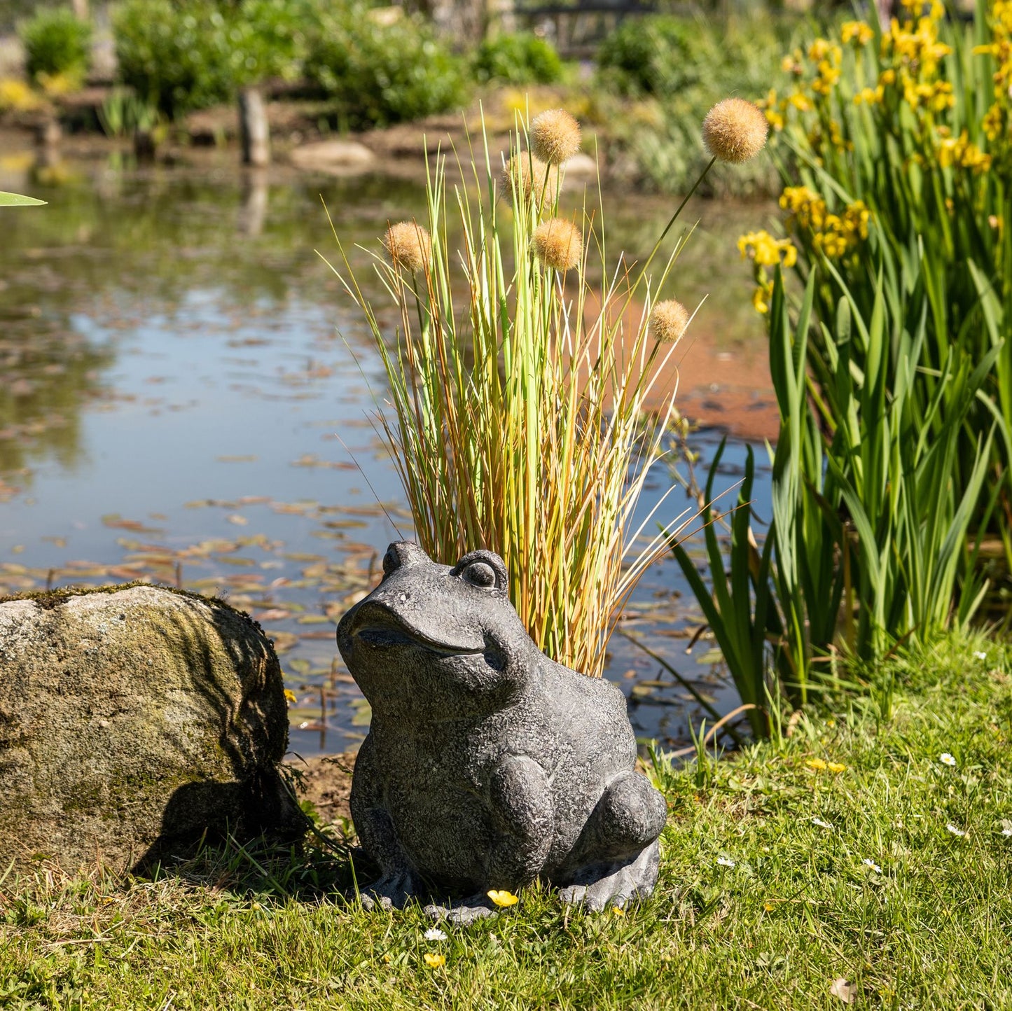 Freddie The Frog Plant Pot Holder