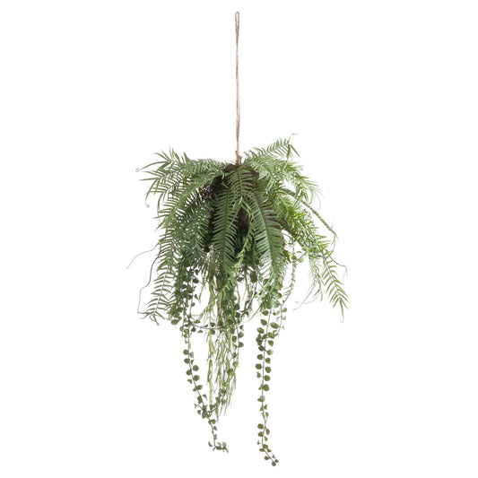 Fern Hanging Basket Arrangement